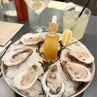 Raw Oysters