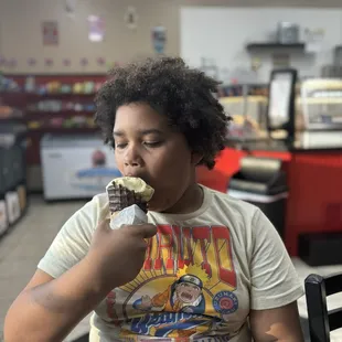 Chocolate fine waffle cone and lemon cheesecake icecream