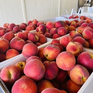 Peaches from SC