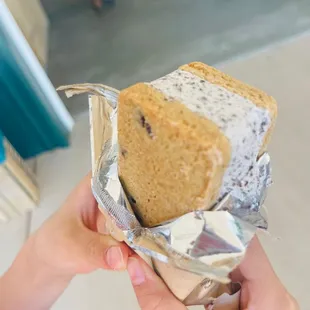 Nightingale ice cream sandwich - cookie monster
