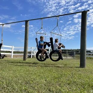 Tire swings