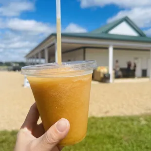 Apple cider slushie