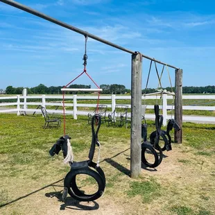 Tire horse swings