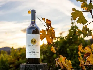 Eco Terreno Tasting Room