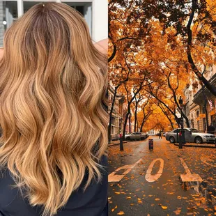 What inspires your color??