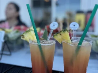 Carina's Cantina Mobile Mixologist