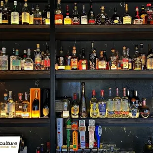 liquor bottles on shelves
