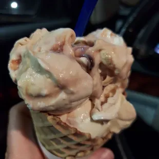 shellfish, oysters and mussels, mussels, food, oysters