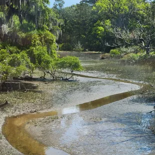 Little creek you drive over to get to the other side of the island