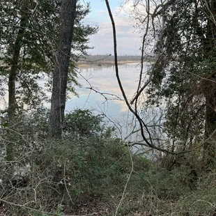 Water view from boardwalk