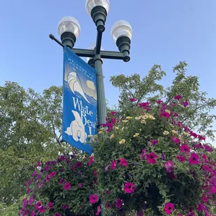 WBL sign July 2024 near waiting line