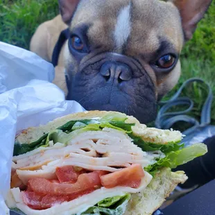 Embarcadero  sandwich:  $9  fully packed Sammy with soft bread. And comes with a granola bar lol