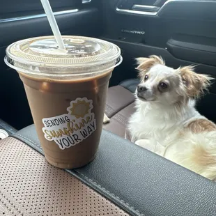 16oz iced coffee with cookie dough and chocolate syrup