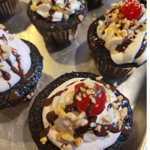 chocolate cupcakes topped with whipped cream and a cherry
