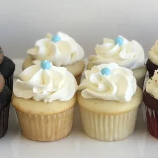 Mini Cupcakes