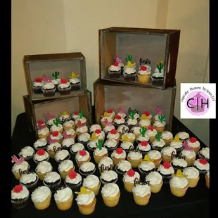 Fiesta cupcake display