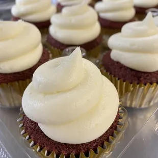 Red Velvet Cupcakes