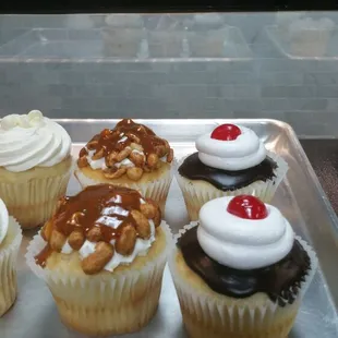 Salted Nut &amp; Boston Cream