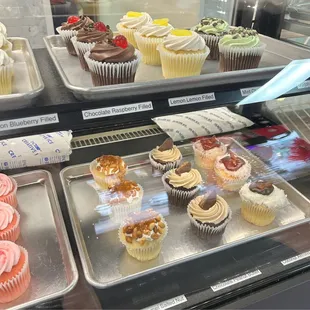 a variety of cupcakes in a display case