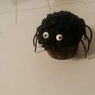 Spider