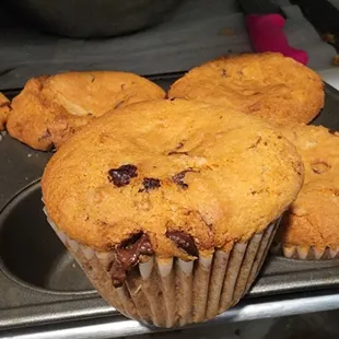 muffins in a muffin tin