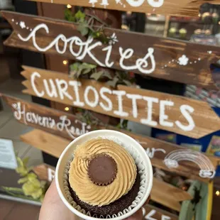 a hand holding a cupcake