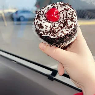 Black Forest cupcake to go!