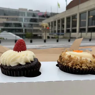 Chocolate Raspberry and Carrot Cake