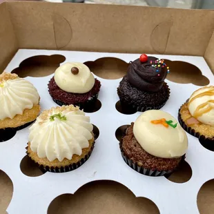 Half dozen assorted mini cupcakes!