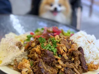 House of Falafel