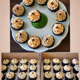 a plate of cupcakes and a plate of cupcakes