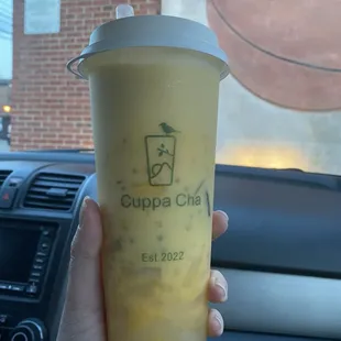 mango 24 oz Mango with Coconut Milk
