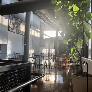 the sun shining through the windows