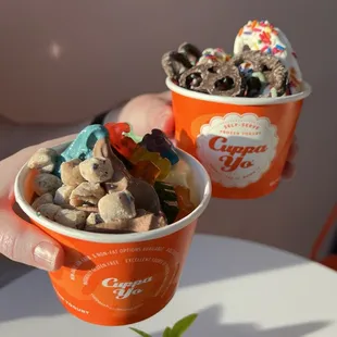 2 servings frozen yogurt. Delicious!