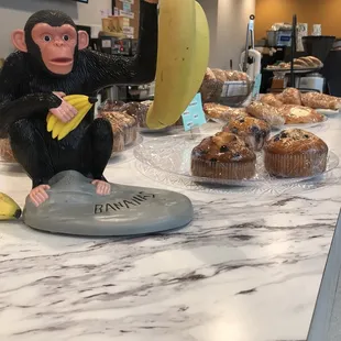a monkey holding a banana