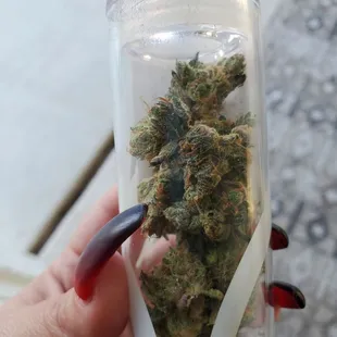 $55 4.5 hybrid
