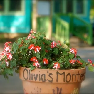 Olivia's Montessori P.