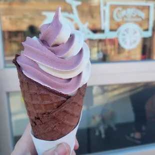 Vanilla bean and raspberry soft serve