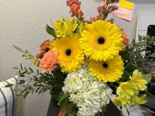 Capitol Hill Florist, Gifts and Flower Delivery