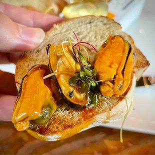Organic Patagonia sofrito mussels on toasted wheat bread