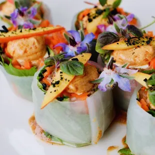 Veg Spring Rolls