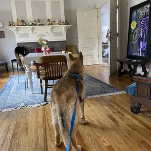 Inside &amp; they&apos;re dog friendly this is our pup Dozer