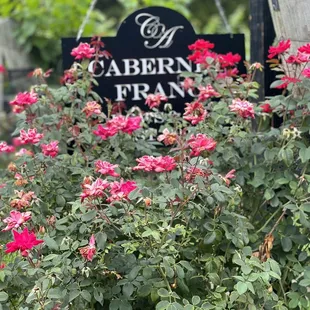sign surrounded by flowers