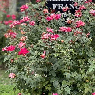 the sign for the winery