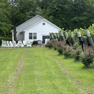 View of the tasting room from the grape vines