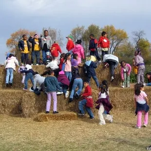 There's lots for the kids to do.