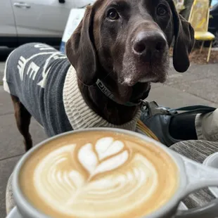 Orange cinnamon latte and Lola