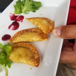 a person holding a plate of food