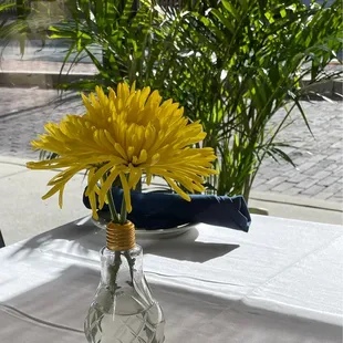 Light bulb mini vase