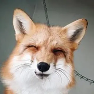 Nick F.